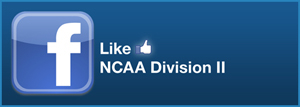 DII Facebook Logo